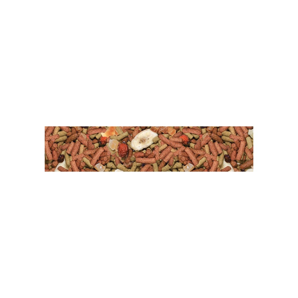 Manitoba My Parrots Sensible Alimento Estruso con Frutta per Pappagalli 2 Kg | Zoopluto