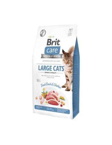 Brit Care Cat Grain Free Gatti di Taglia Grande Anatra e | Zoopluto