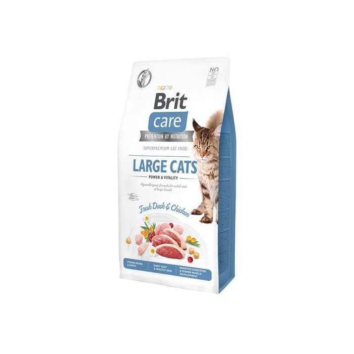 Brit Care Cat Grain Free Gatti di Taglia Grande Anatra e | Zoopluto