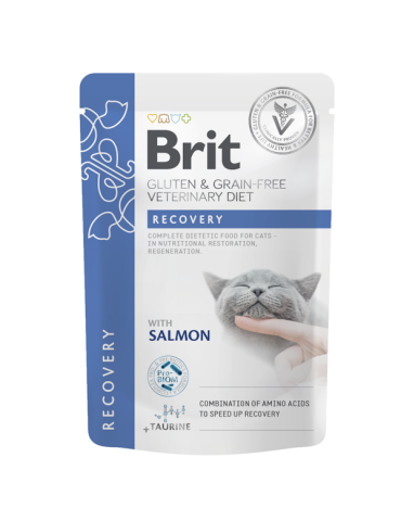 Brit Veterinary Diet Grain Free Cat Recovery 85 Gr. | Zoopluto