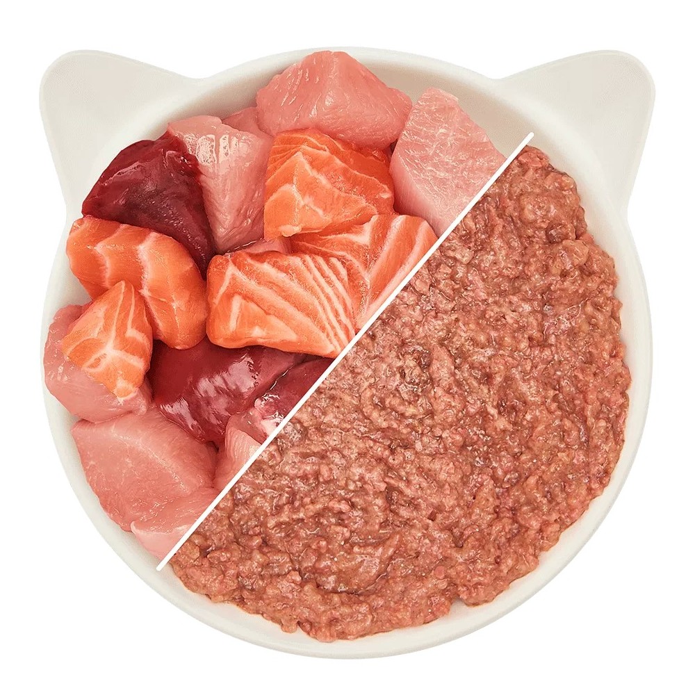 WOW Cat Patè Pollo e Salmone 125g - Alimento umido naturale per gatti