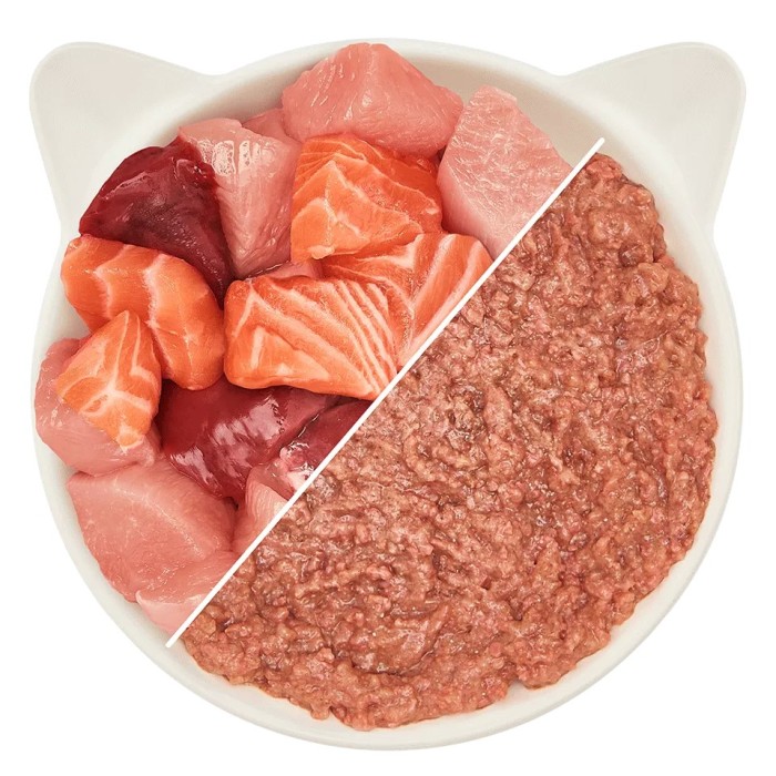 WOW Cat Patè Pollo e Salmone 125g - Alimento umido naturale per gatti