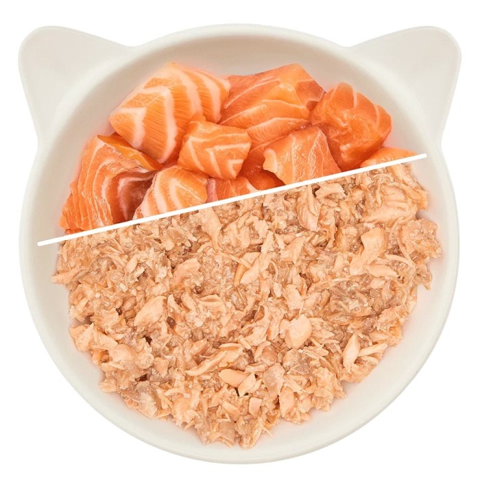 WOW Cat Filetto di Salmone 70g – Umido Grain Free Naturale per Gatti