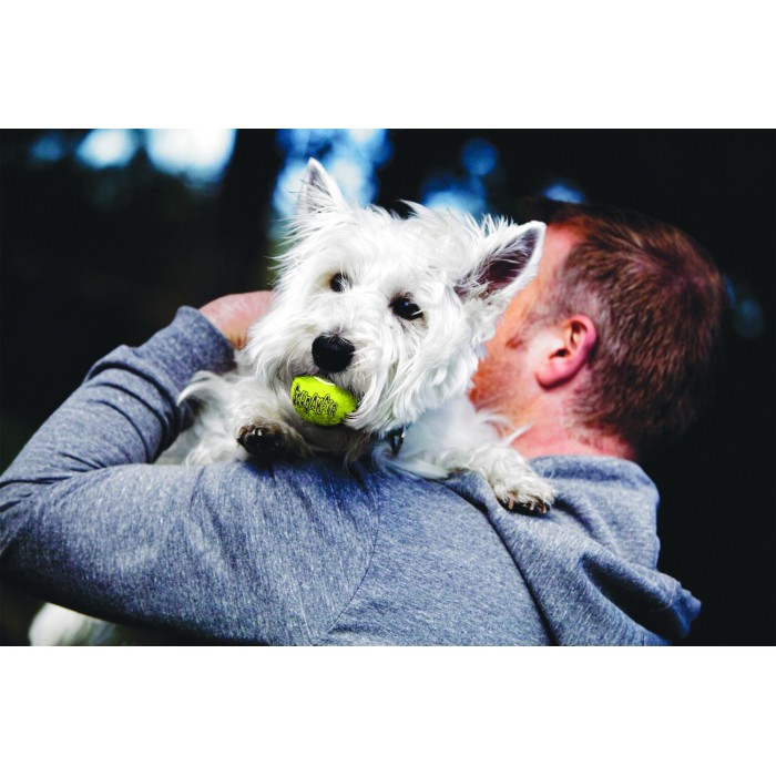 KONG SqueakAir Ball Gialla | Pallina Sonora per Cani Sicura