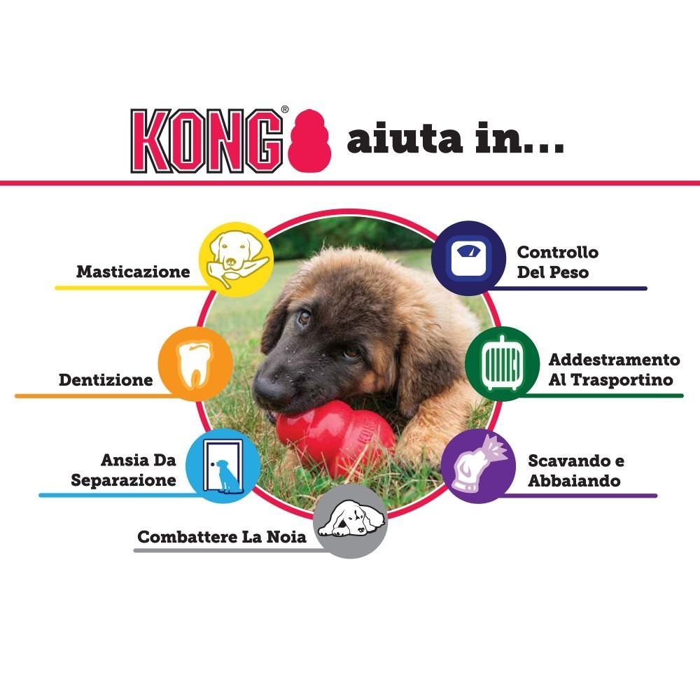 KONG Classic Large | Gioco in Gomma Naturale per Cani 13-30kg