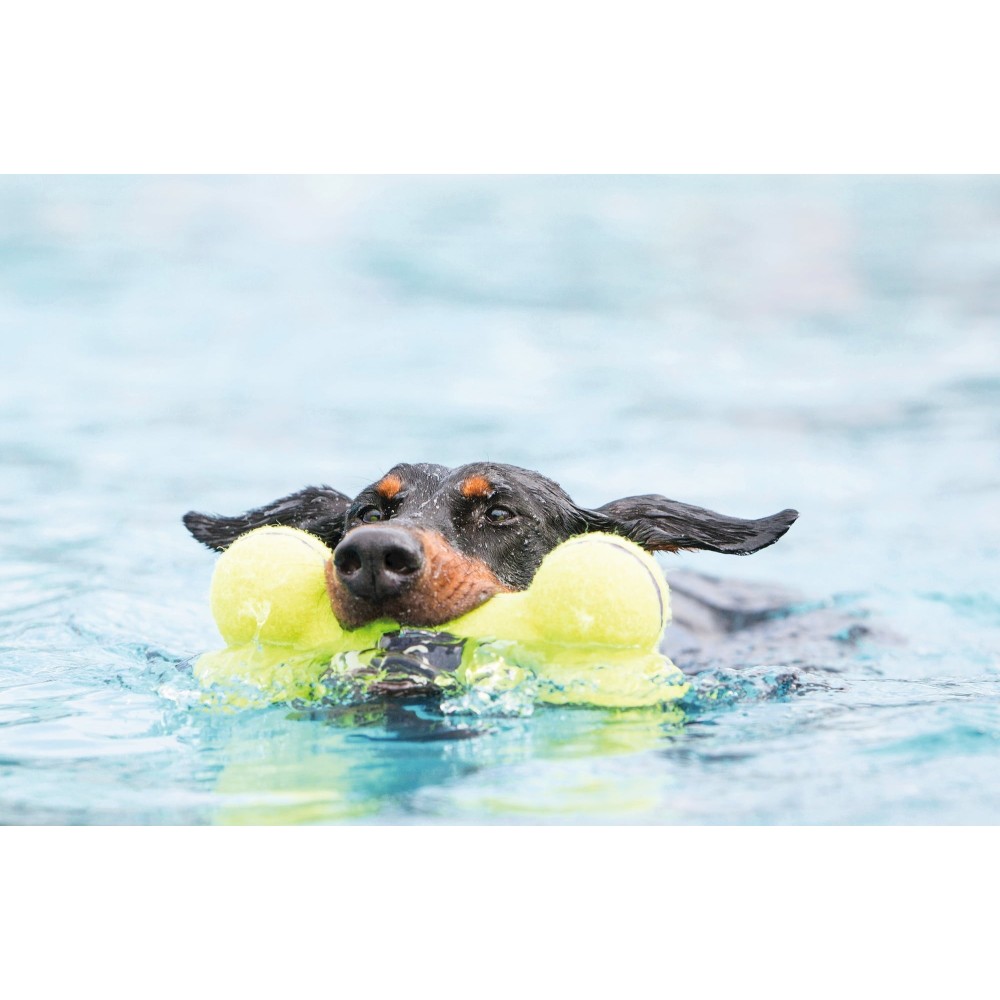 KONG AirDog Bone Large | Osso Sonoro per Cani Taglia Grande