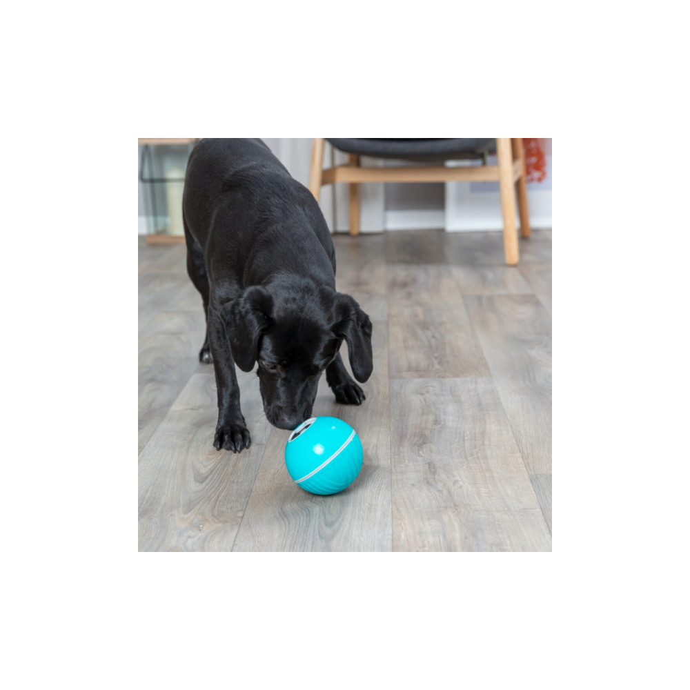 Palla Snack Trixie Blu | Gomma TPR Silenziosa