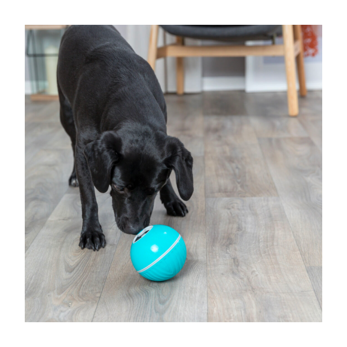 Palla Snack Trixie Blu | Gomma TPR Silenziosa