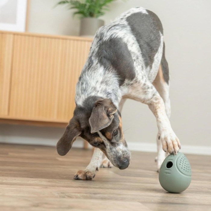 Trixie Snack Egg | Uovo Dispenser Snack in Gomma Naturale