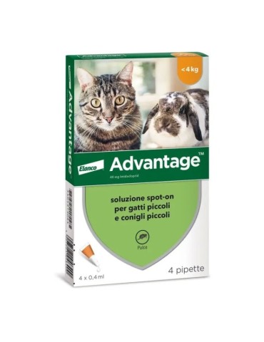 Advantage 40 Gatto e Coniglio fino 4 Kg 4 pipette | Zoopluto