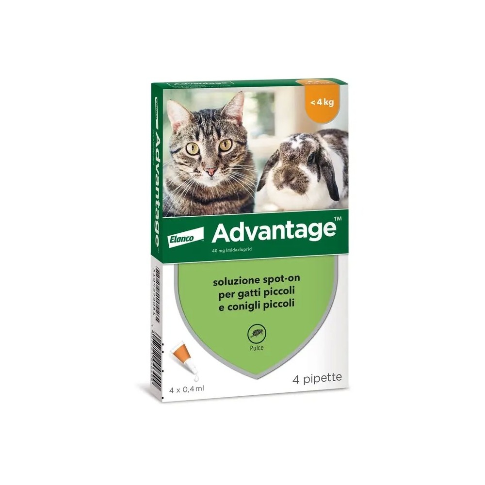 Advantage 40 Gatto e Coniglio fino 4 Kg 4 pipette | Zoopluto