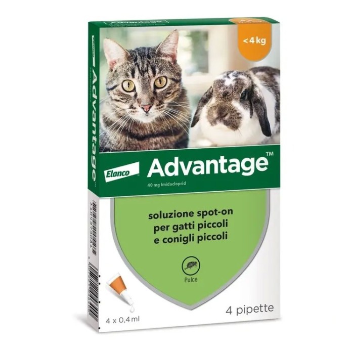 Advantage 40 Gatto e Coniglio fino 4 Kg 4 pipette | Zoopluto