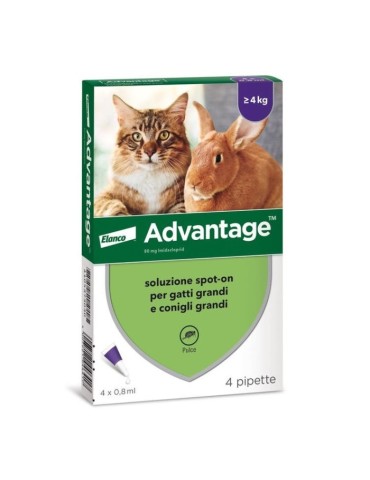Advantage 80 Gatto e Coniglio oltre 4 Kg 4 pipette | Zoopluto