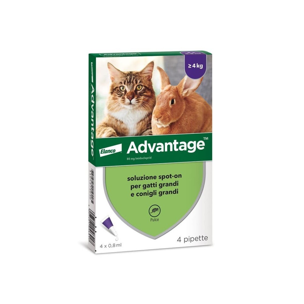 Advantage 80 Gatto e Coniglio oltre 4 Kg 4 pipette | Zoopluto