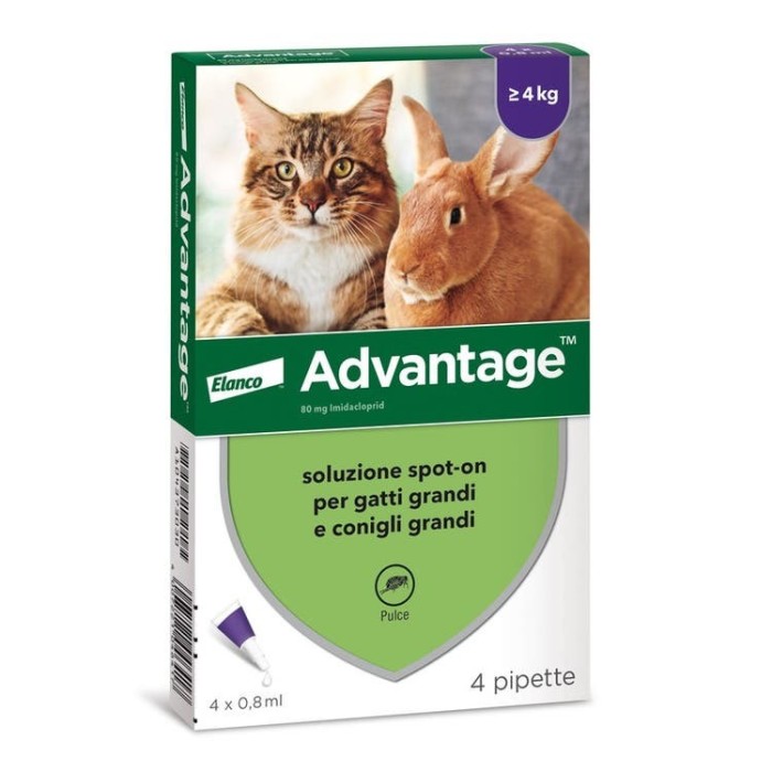 Advantage 80 Gatto e Coniglio oltre 4 Kg 4 pipette | Zoopluto