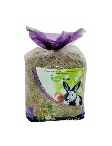 Homefriends Fieno Menta e Rosa Canina 500 g | Zoopluto
