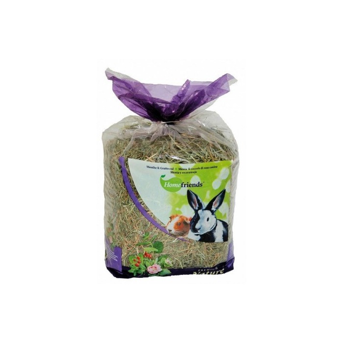Homefriends Fieno Menta e Rosa Canina 500 g | Zoopluto