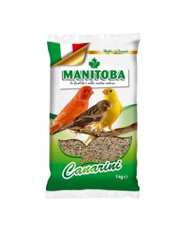 Manitoba T1 Biscuit Canarini con Biscotto 1 Kg | Zoopluto
