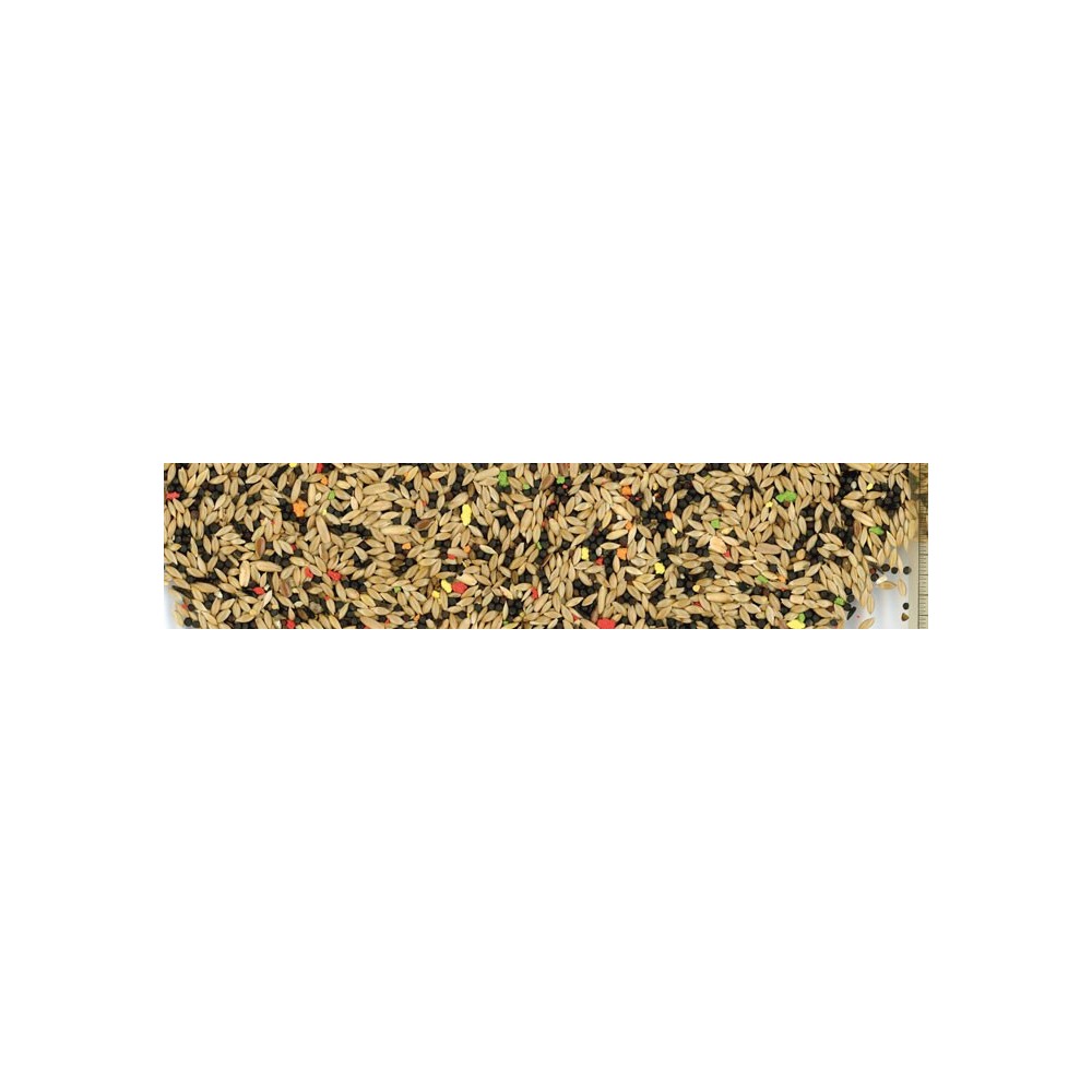 Manitoba T1 Biscuit Canarini con Biscotto 1 Kg | Zoopluto