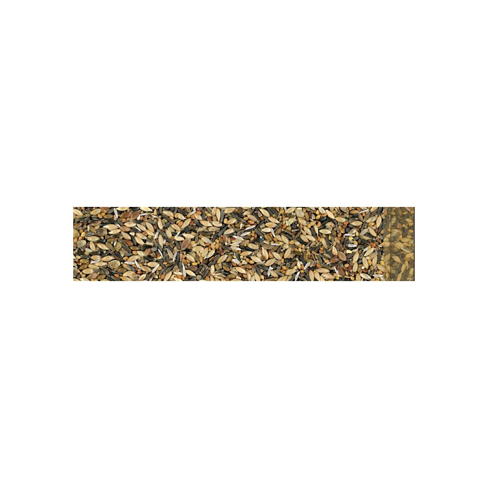 Cardellino Miscela di Semi con Sementi Orticole 1 Kg | Zoopluto