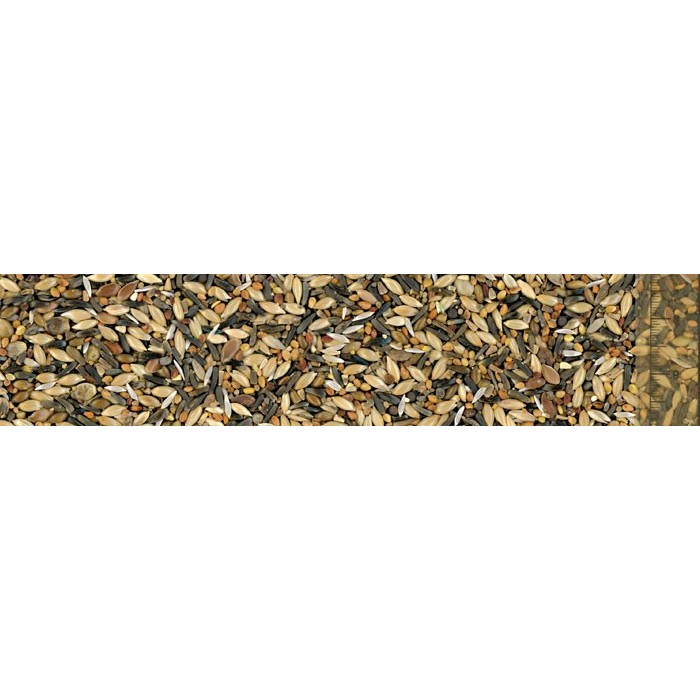 Cardellino Miscela di Semi con Sementi Orticole 1 Kg | Zoopluto