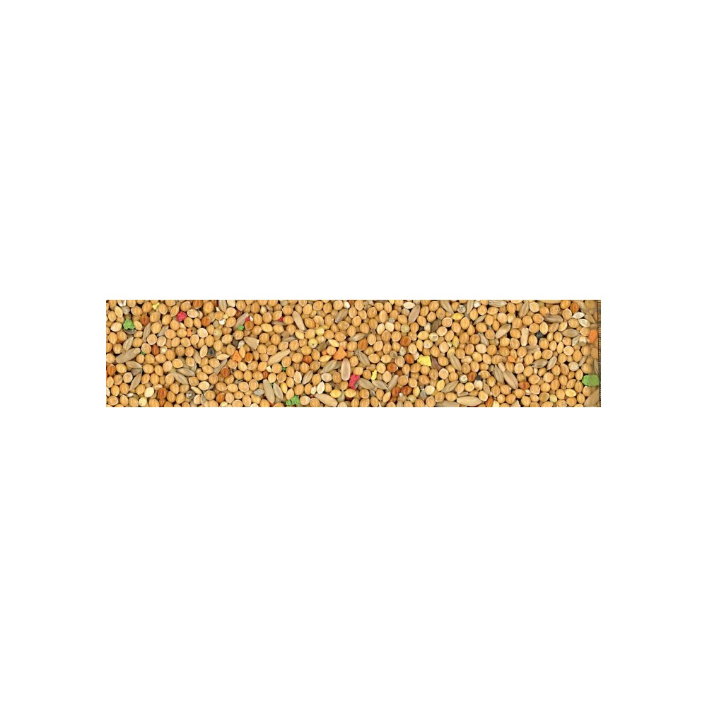 Cocorite Biscuit Miscela di Semi con Biscotto 1 Kg | Zoopluto
