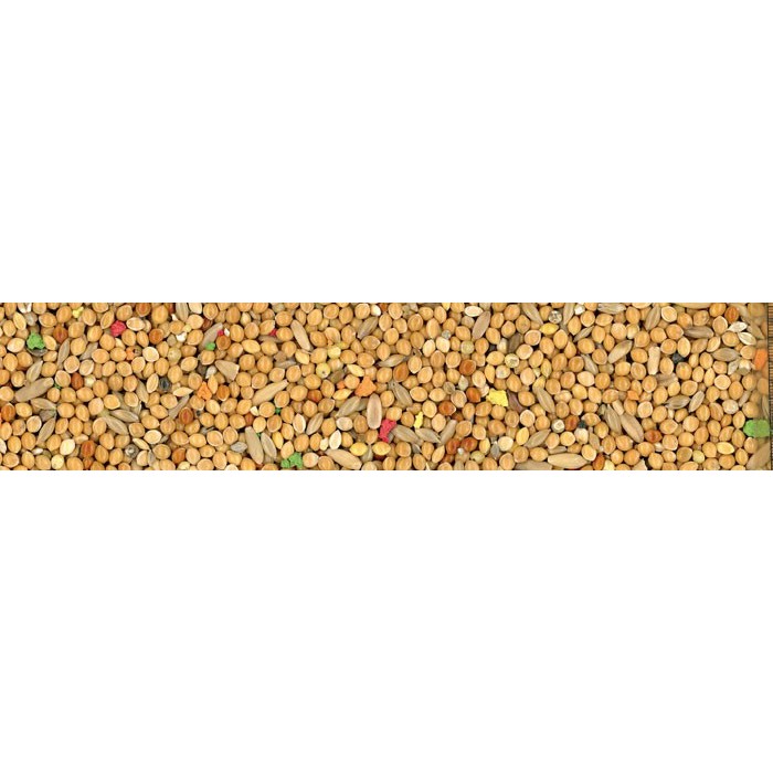 Cocorite Biscuit Miscela di Semi con Biscotto 4 Kg | Zoopluto