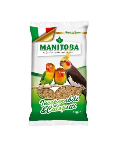 Parrocchetti Miscela Universale di Semi 1 Kg | Zoopluto