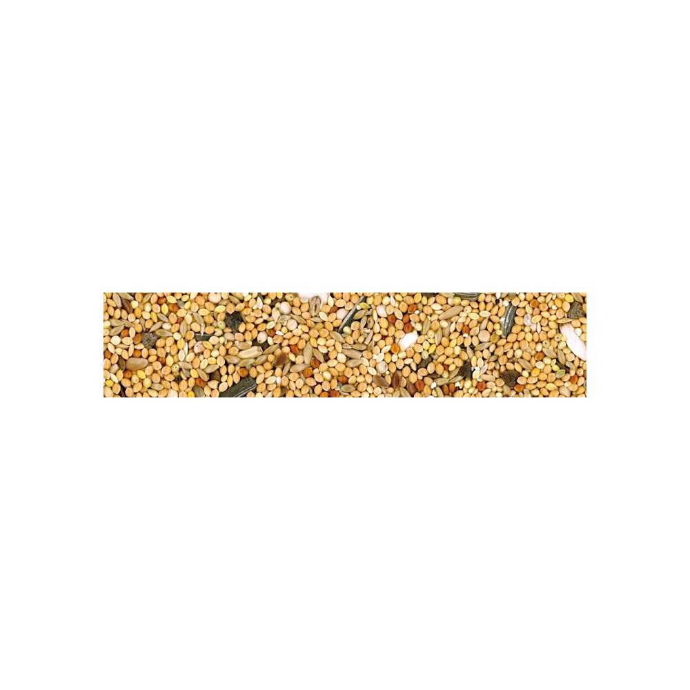 Parrocchetti Miscela Universale di Semi 4 Kg | Zoopluto