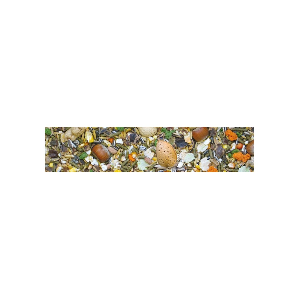 Roditori Muesli Completo con Frutta e Semi 1 Kg | Zoopluto