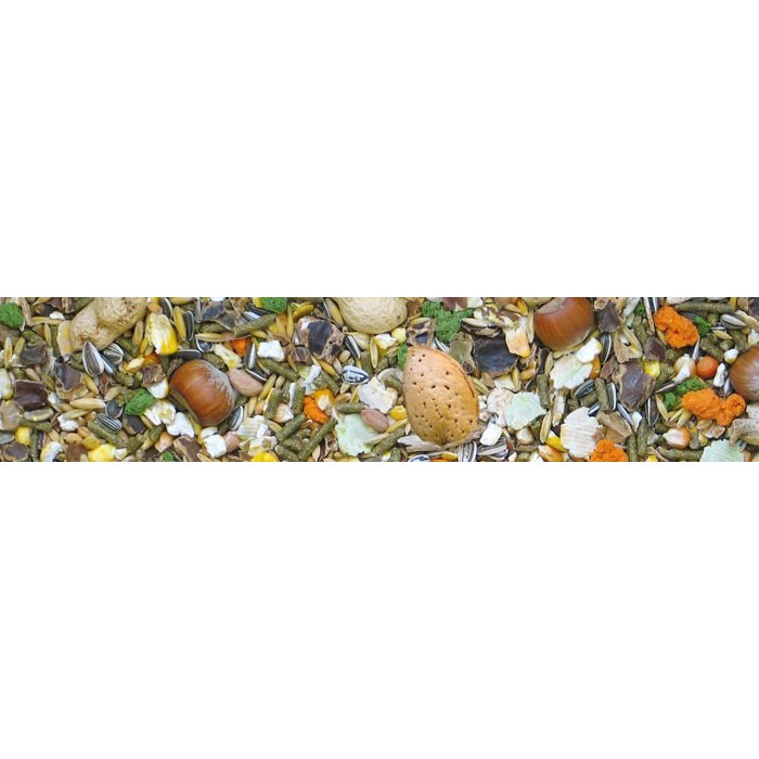 Roditori Muesli Completo con Frutta e Semi 1 Kg | Zoopluto