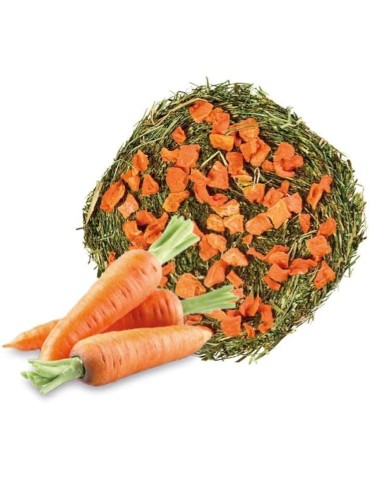Homefriends Rotolo di Fieno con Carota 200 g | Zoopluto