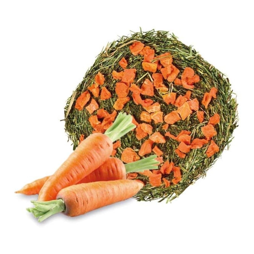 Homefriends Rotolo di Fieno con Carota 200 g | Zoopluto