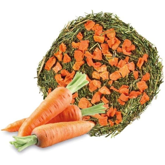 Homefriends Rotolo di Fieno con Carota 200 g | Zoopluto